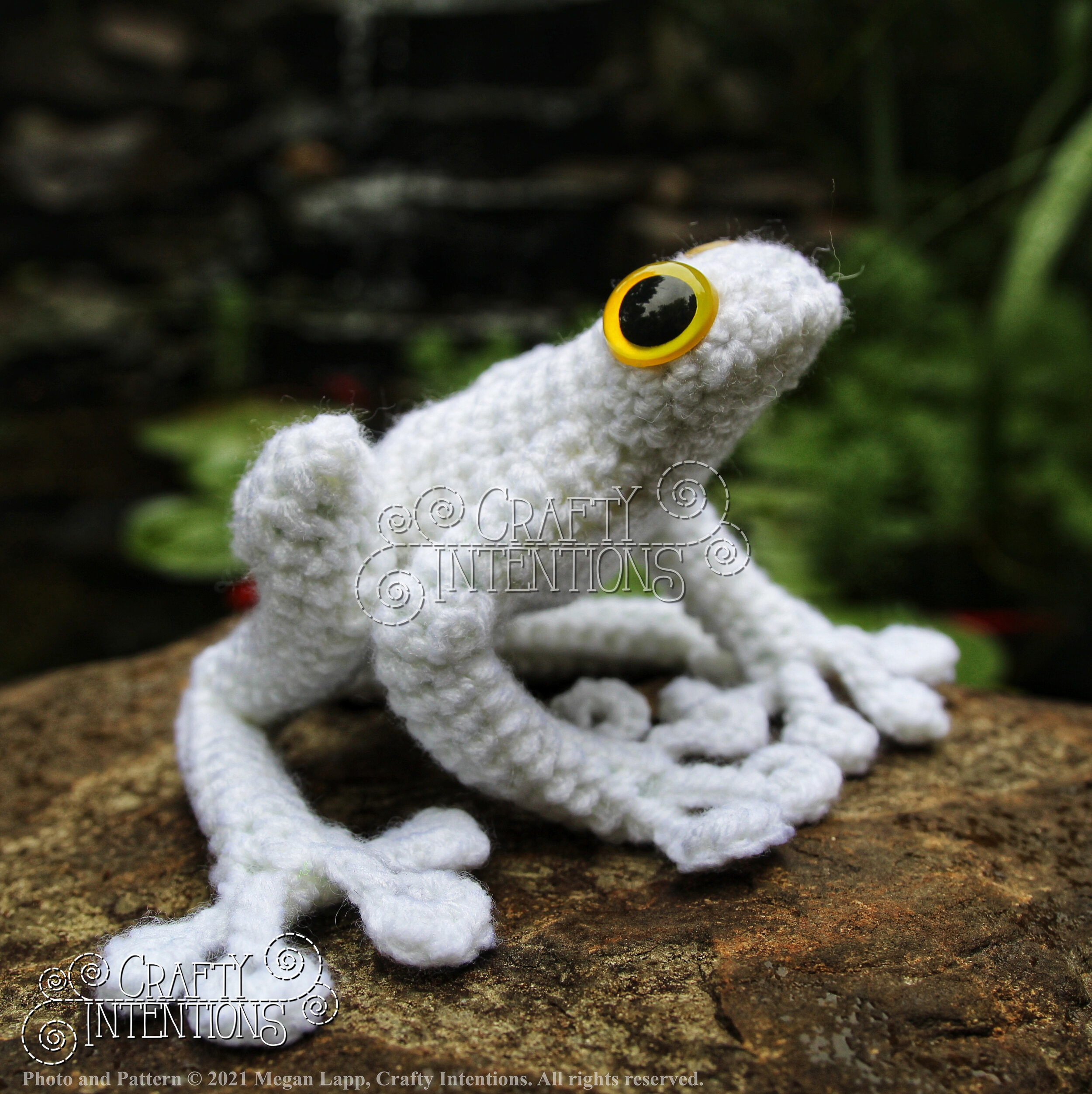 Frogs — Crafty Intentions